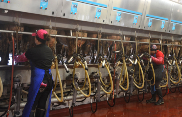 Texas dairies continue to see a strong demand for milk and milk products, but continue to pay higher prices for input costs. Photo by Kay Ledbetter