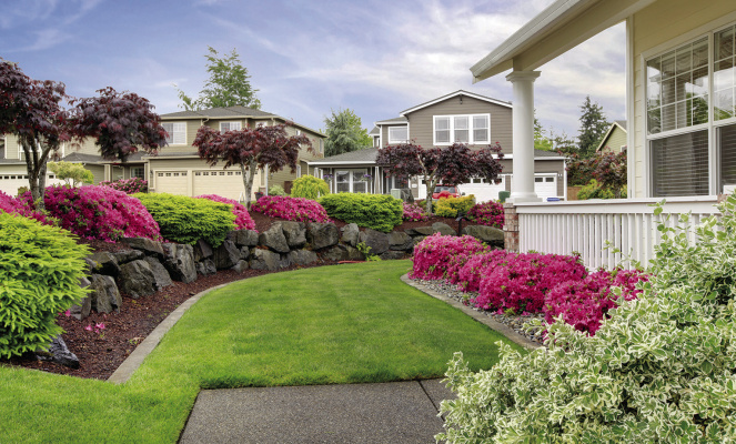 How trees and plants can change the look of a landscape