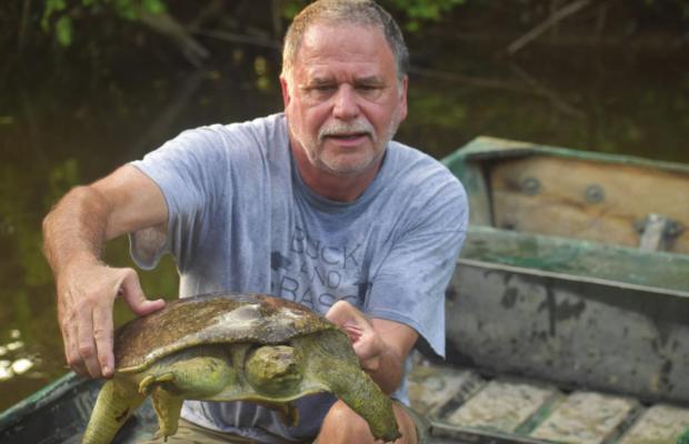Luke and his buddies released everything from wild hogs to soft shelled turtles this past week. Jeff Rice shows off a big ‘softie’ that decided the fresh liver baited trotline was more temptation that it could stand. PHOTO BY LUKE CLAYTON