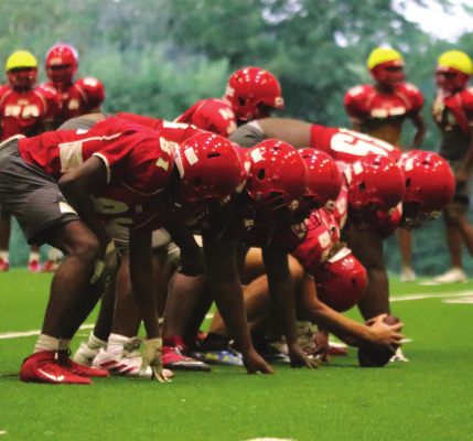 TERRELL Meet The Tigers