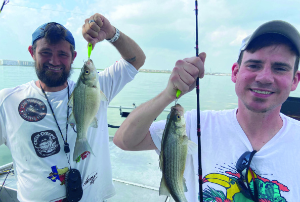 Not all white bass are spawning in creeks and rivers. Luke caught these out on the main lake with guide Brandon Sargent (Lead Slingers Guide Service) and Luke’s son, Drew. Photo by Luke Clayton