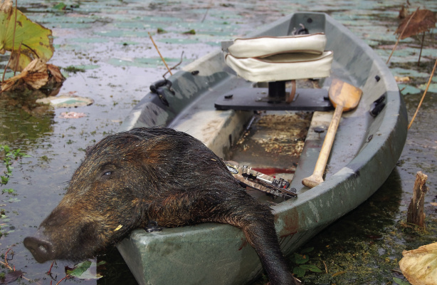 Beginning Sept 1, hunting hogs or game from navigable streams with rifle or bow will be illegal. Photo by Luke Clayton