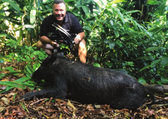 Dave Lopaka Millwood (Honolulu Dave) with a big boar he killed with a crossbow in the mountains of Oahu. PHOTO BY DAVE MILLWOOD