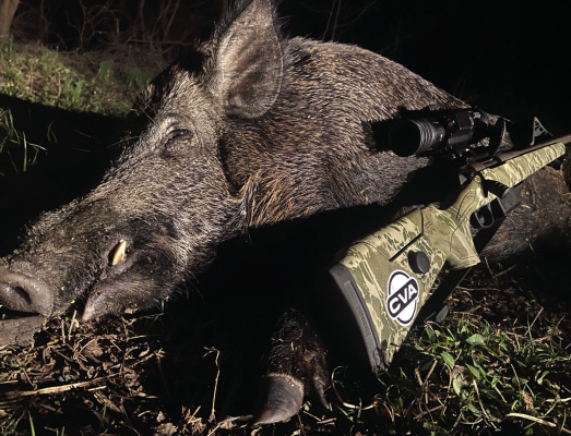 Luke shot the biggest wild boar he has taken in years and transforming this one into tender BBQ challenged his culinary skills, but the report is the meat made some of the best pulled pork Luke has ever prepared and, he’s made a lot of BBQ in his time. Photo by Luke Clayton