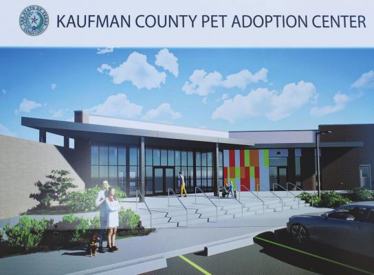Humane Society of NT bids to  operate pet adoption center