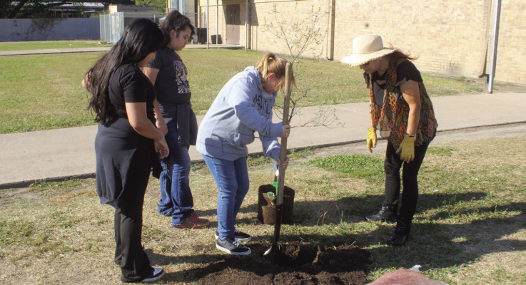 Terrell Garden Club celebrates Arbor Day