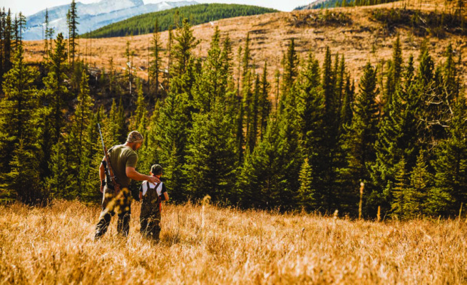 Dove season approaching for Texas hunters