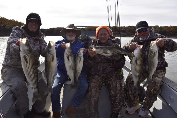 Striper fishing under the gulls is red hot right now at Lake Texoma. Guide Chris Carey (Lt), his Dad, Bill Carey, and friends Edgar Cotton and David Cotton with a few of the many stripers they landed last week. Photo by Luke Clayton