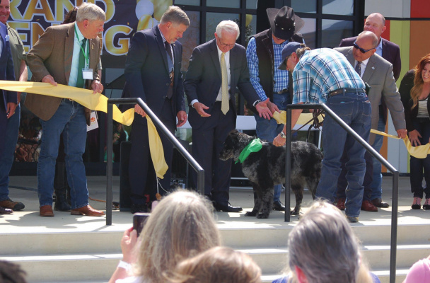 Isabel, a dog owned by Skip Eads of Plano, helps Kaufman County officials cut the ribbon signifying the Pet Adoption Center’s official opening. Tribune Photo/Russell Slaton