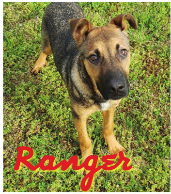 Ranger