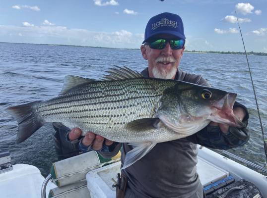 Lake Tawakoni guide Omar Cotter with a chunky hybrid striper caught last week. Downrigging or trolling with deep diving plugs with trailers is producing well now for both hybrids and white bass. Photo by Luke Clayton