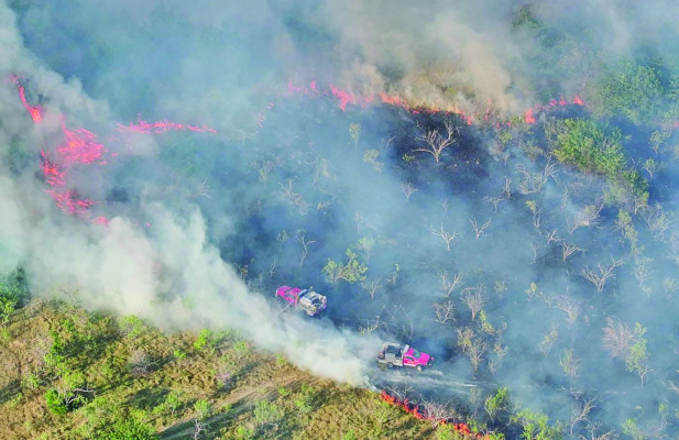 Multiple agencies across Kaufman County battled a large, 162-acre grass fire in the Cottonwood area. Photo courtesy of College Mound FD