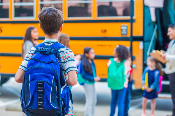 Understanding school bus rub rails