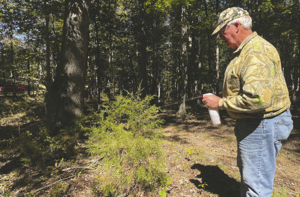 Samuel Old spraying some of his deer attractant he named “Up Close Juice” on a bush near where he plans to hunt. Photo courtesy Samuel Old