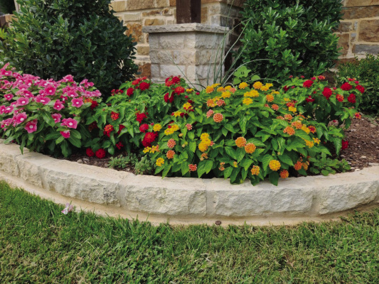 Yard of the Month