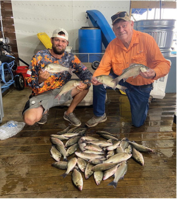 Lake Ray Hubbard guide Brandon Sargent and Luke show off the results of a couple of hours of white bass catching last week. The fish are beginning to stack up on bottom structure in deeper water and the surface schooling action is just getting underway. Photo by Luke Clayton