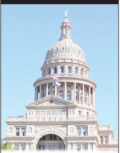 Legal challenges to constitutional