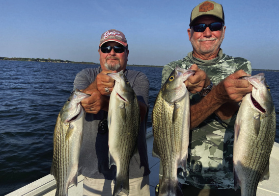 Guide Tony Parker (lt) and Jeff Rice show off a few nice fish landed during the first few hours of daylight last week. The bite was very good for hybrid stripers, an occasional pure striper and some jumbo white bass. Photo courtesy of Luke Clayton