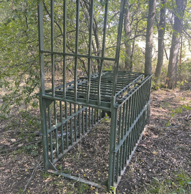 Luke is making plans to put his old hog trap to use. Some fresh prime wild pork is needed for an upcoming dinner and it’s time to break this old trap out of retirement. Photo by Luke Clayton
