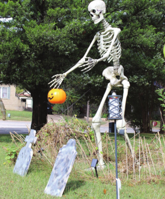 Boney behemoth