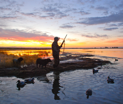 	Dry conditions could pose challenges for waterfowl hunters