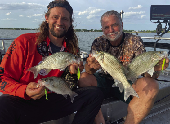 Guide Brandon Sargent (Lt) and Jeff Rice show off some Ray Hubbard white bass caught last week and the LS Rattler slabs they caught them on. Photo by Luke Clayton