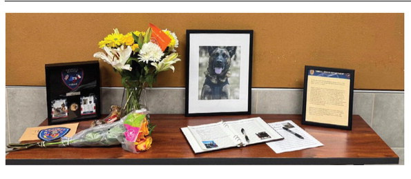 Citizens gather to honor memory of K-9 Max