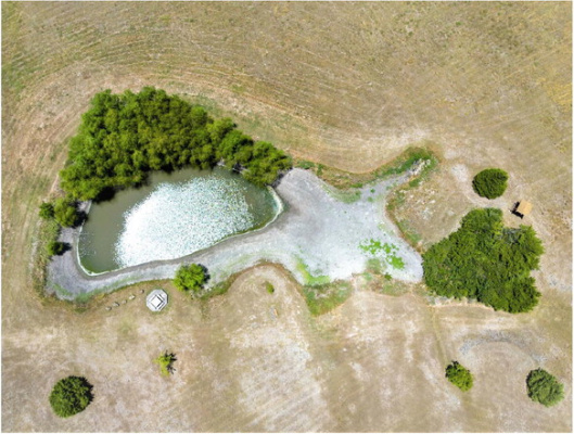 Low stock tank levels around the state were a major concern for cattle producers around the state. While rainfall across Texas helped many areas, surface water availability remained an issue as drought conditions continued. Photo by Courtney Sacco