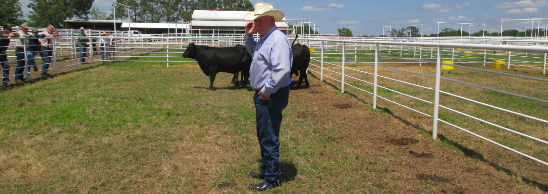 Dr. Ron Gill, a professor and Extension Livestock Specialist, served as one of the guest presenters at the April 14 clinic. Courtesy photo