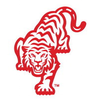 Tigers fall in season finale
