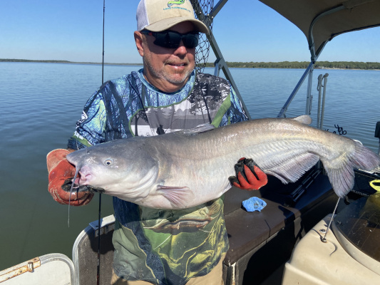 Tawakoni guide Tony Pennebaker with a big blue catfish landed last week. The trophy blue catfish season is underway but now is prime time for catching lots of big ‘slot’ fish between 20 and 30 inches. (Photo by Luke Clayton)