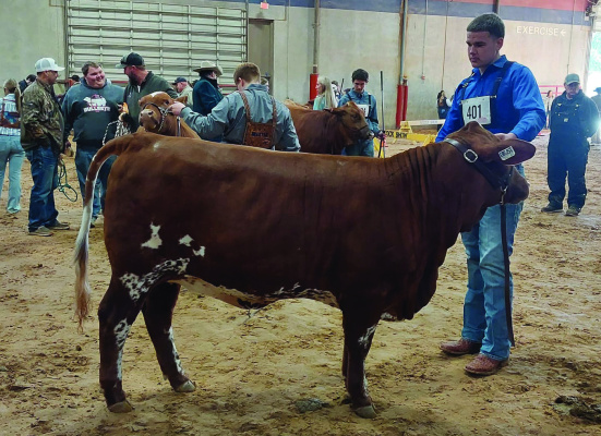 	Terrell FFA participates at Fort Worth Stock Show and Rodeo