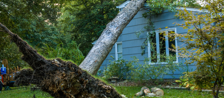 National Preparedness Month: