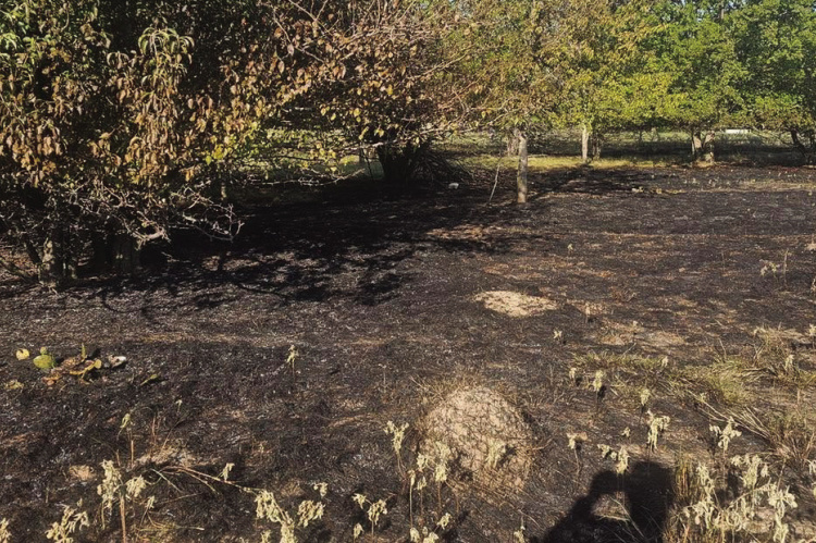 Terrell VFD continues to battle blazes after burn ban lifted