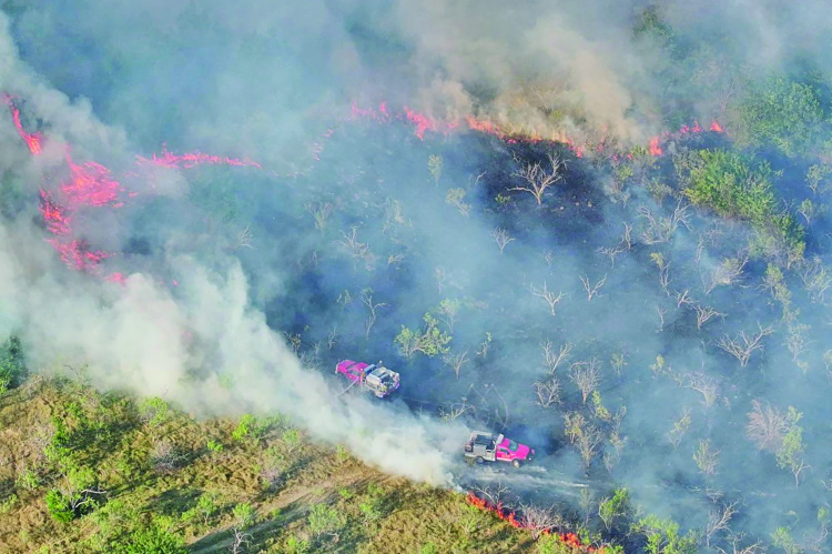 Multiple agencies across Kaufman County battled a large, 162-acre grass fire in the Cottonwood area. Photo courtesy of College Mound FD