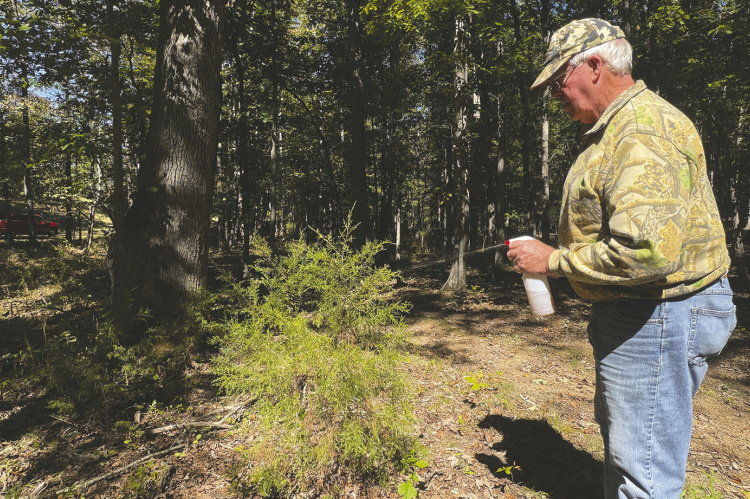 Samuel Old spraying some of his deer attractant he named “Up Close Juice” on a bush near where he plans to hunt. Photo courtesy Samuel Old