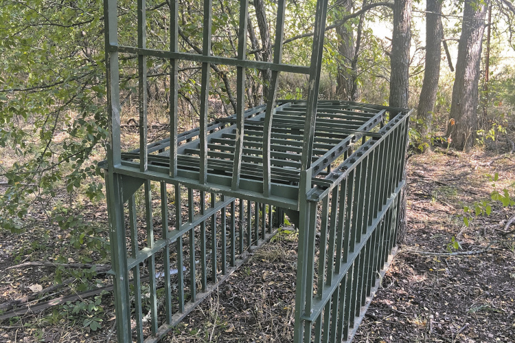 Luke is making plans to put his old hog trap to use. Some fresh prime wild pork is needed for an upcoming dinner and it’s time to break this old trap out of retirement. Photo by Luke Clayton