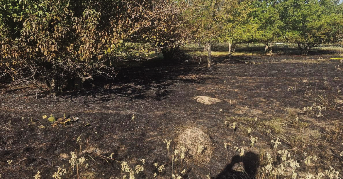 Terrell VFD continues to battle blazes after burn ban lifted