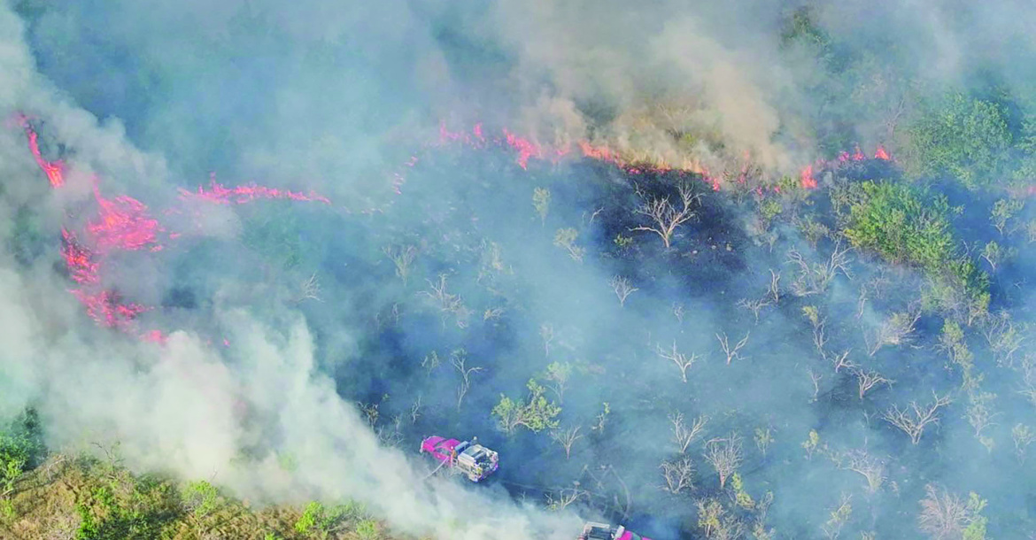 Multiple agencies across Kaufman County battled a large, 162-acre grass fire in the Cottonwood area. Photo courtesy of College Mound FD