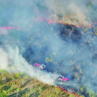 Multiple agencies across Kaufman County battled a large, 162-acre grass fire in the Cottonwood area. Photo courtesy of College Mound FD